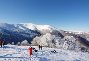 carpathian tale camp