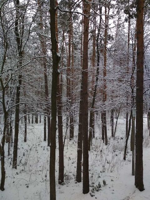 koncha-zaspa-2019-yeti-03.jpg