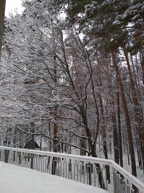 koncha-zaspa-2019-yeti-11.jpg