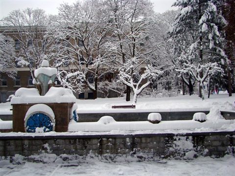 koncha-zaspa-zima-11.jpg