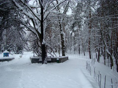 koncha-zaspa-zima-12.jpg