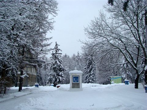koncha-zaspa-zima-13.jpg