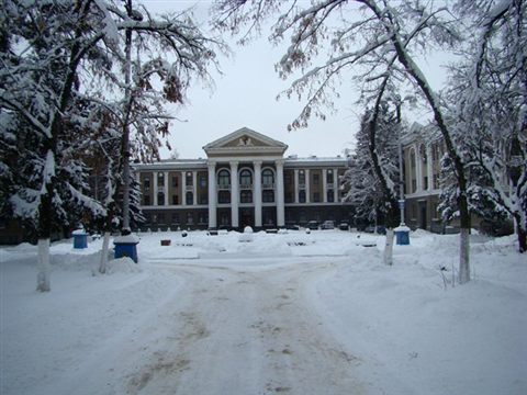 koncha-zaspa-zima-15.jpg