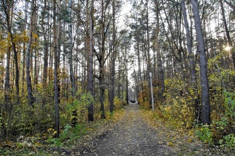 koncha-zaspa-autumn-14.jpg
