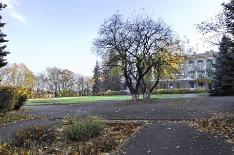 koncha-zaspa-autumn-4.jpg