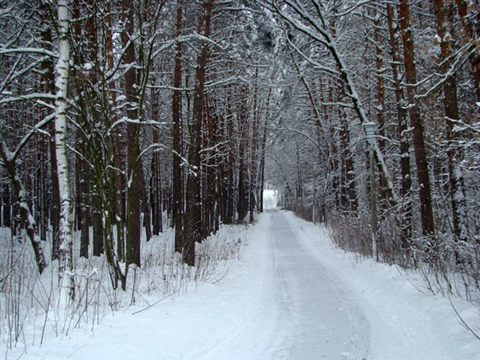 koncha-zaspa-winter-10.jpg