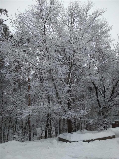 koncha-zaspa-winter-121.jpg