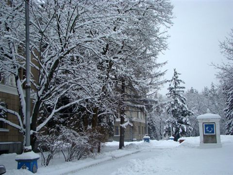 koncha-zaspa-winter-14.jpg