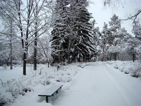 koncha-zaspa-winter-2.jpg