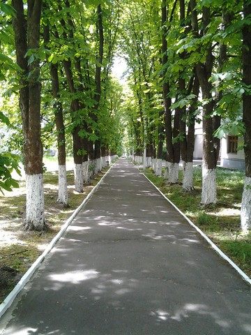 akkord-camp-pushcha-19.jpg