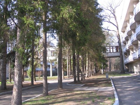 akkord-camp-pushcha-34.jpg