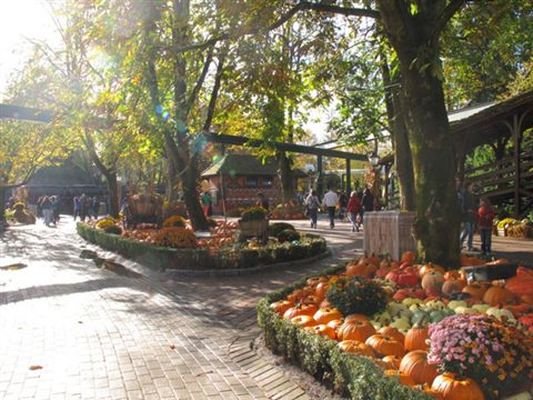 europa-park-08.jpg