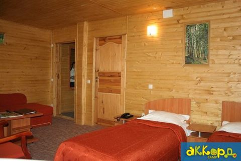 artek-tabir-lisovyi-01.jpg