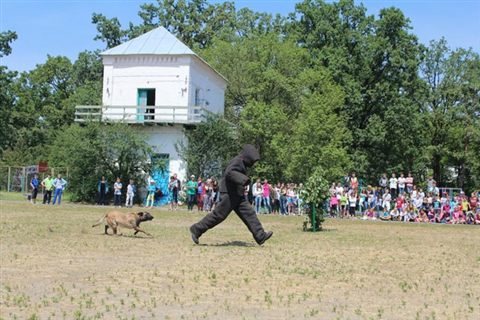 promen-camp-03.jpg