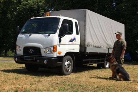 promen-camp-07.jpg