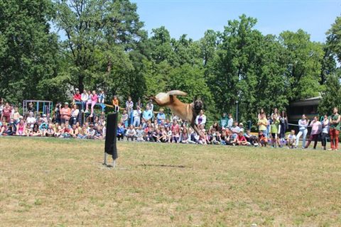 promen-camp-15.jpg