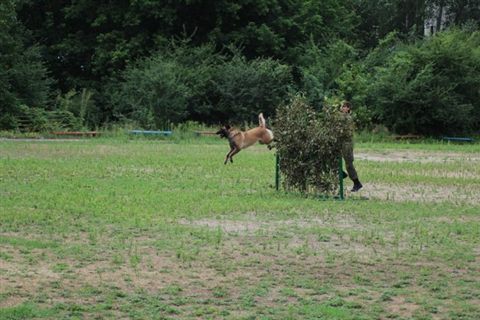 promen-camp-27.jpg