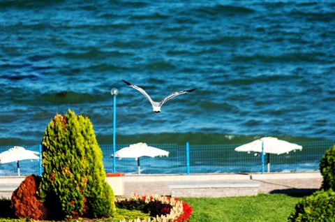 midia-grand-resort-4.jpg